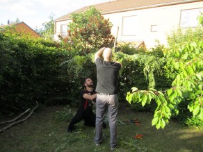 Building a maypole. (Swedish Midsummer)