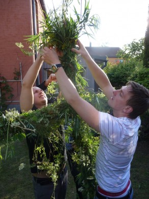 Building a maypole. (Swedish Midsummer) Building a maypole. (Swedish Midsummer)
