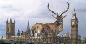 The London Stag (The London Stag)