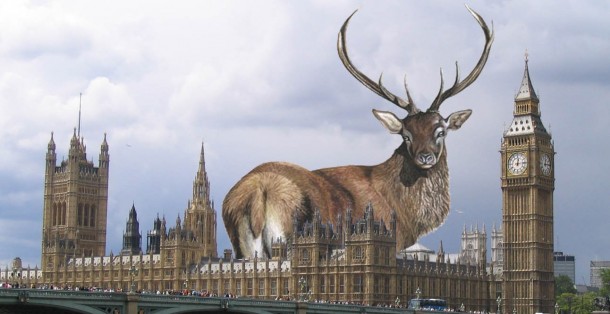 The London Stag