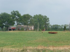 Once spotted by Brandon, they were dead meat in his eyes! (Blooming Glen Farm)