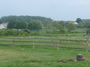 Far away from New York. (Blooming Glen Farm)