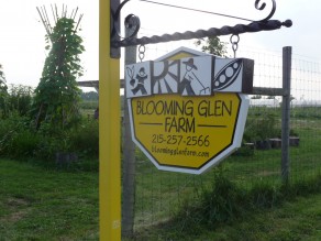 Welcome to Blooming Glen Farm. (Blooming Glen Farm) Welcome to Blooming Glen Farm. (Blooming Glen Farm)