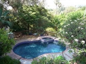 Steve and Bryan’s garden pool. (NY, LBI, LA & LB)