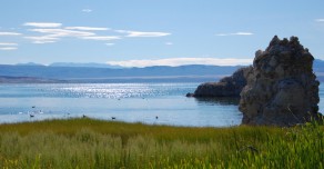 Mono Lake Waters