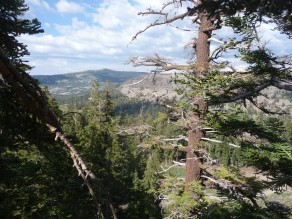 A view of the world normally reserved for birds. (Zipping through Lake Tahoe) A view of the world normally reserved for birds. (Zipping through Lake Tahoe)