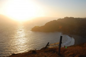 Another stunning view from a walk with John. (San Francisco) Another stunning view from a walk with John. (San Francisco)