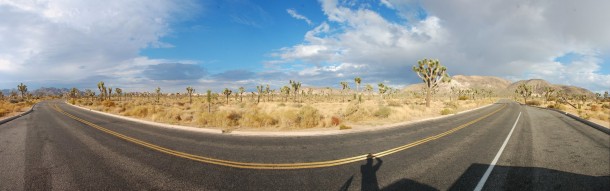 180 degree panorama of the road through the park. (Palm Springs)