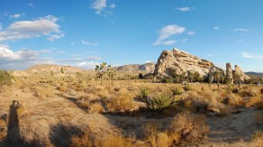Stunning Landscape (Palm Springs)