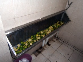 You have got to love the clever use of limes. (Moving to Mexico City) You have got to love the clever use of limes. (Moving to Mexico City)