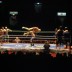Lucha Libre.