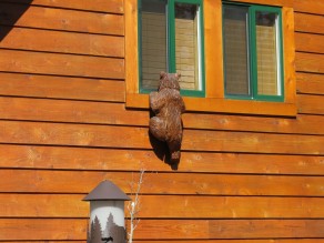 The silent invasion of wooden bears.