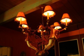 I LOVE this lamp! (From Switzerland to Buenos Aires) I LOVE this lamp! (From Switzerland to Buenos Aires)