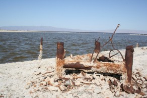 Welcome to wonderful Salton Sea.