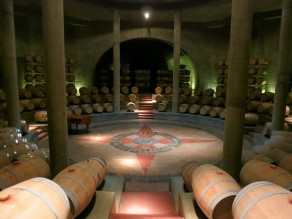 The sacrificial circle of Salentein. (Mendoza) The sacrificial circle of Salentein. (Mendoza)