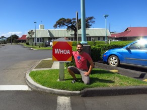 A genuin stop sign in this cowboy-heavy little town! Good for horses that don’t know English. (Hawaii) A genuin stop sign in this cowboy-heavy little town! Good for horses that don’t know English. (Hawaii)