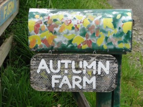 Welcome to Autumn Farm