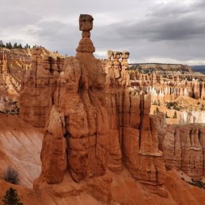 30084341_540358279697612_7635755346031542272_n (Daily Photo)