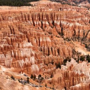 30085520_167063217446635_4377303691670061056_n (Daily Photo) 30085520_167063217446635_4377303691670061056_n (Daily Photo)