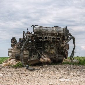 61919340_174512530227734_5811038243984918096_n (Daily Photo) 61919340_174512530227734_5811038243984918096_n (Daily Photo)