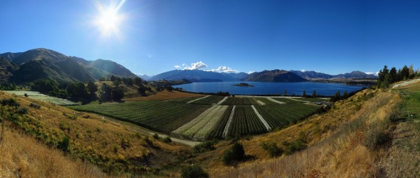 View from Rippon Winery (New Zealand’s South Island (Part 1)) View from Rippon Winery (New Zealand’s South Island (Part 1))