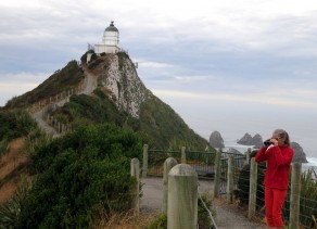 Nugget Lighthouse (New Zealand’s South Island (Part 1)) Nugget Lighthouse (New Zealand’s South Island (Part 1))