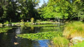 Queenstown Botanical Garden (New Zealand’s South Island (Part 1)) Queenstown Botanical Garden (New Zealand’s South Island (Part 1))