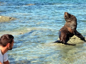 Such a prima-donna! (New Zealand’s South Island (Part 2)) Such a prima-donna! (New Zealand’s South Island (Part 2))