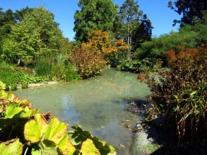 Botanical Garden (New Zealand’s South Island (Part 2)) Botanical Garden (New Zealand’s South Island (Part 2))
