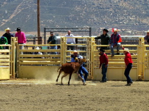 Chute Dogging featuring Stud Monkey (Madam Rodeo of Ghostly Memorial) Chute Dogging featuring Stud Monkey (Madam Rodeo of Ghostly Memorial)