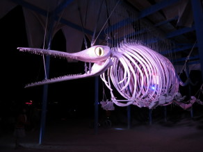 Is it a liopleurodon? (Burning Man 2013) Is it a liopleurodon? (Burning Man 2013)