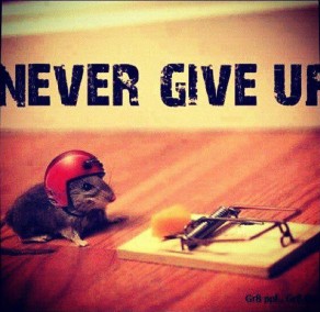 Never give up!