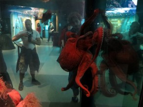 Octopus (Vancouver Travel Guide) Octopus (Vancouver Travel Guide)