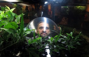 In among the frogs. (Vancouver Travel Guide) In among the frogs. (Vancouver Travel Guide)