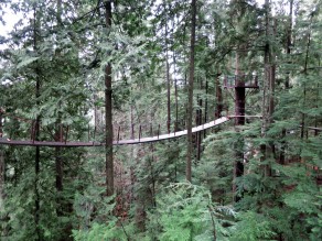 Capilano Tree Walk (Vancouver Travel Guide)