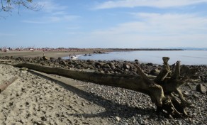 Wreck Beach (Vancouver Travel Guide) Wreck Beach (Vancouver Travel Guide)