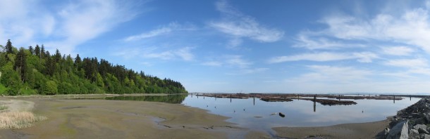 Wreck Beach (Vancouver Travel Guide) Wreck Beach (Vancouver Travel Guide)