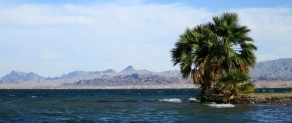 Lake Havasu