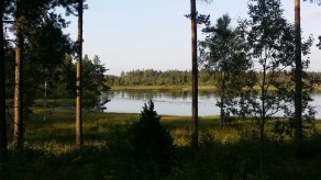 Swimming in local lakes (Ljungby vs. London) Swimming in local lakes (Ljungby vs. London)