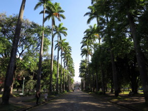 Museum Square, Belo Horizonte (São Paulo & Belo Horizonte)