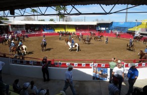 The Arena (Phoenix Gay Rodeo to Zion’s Angel)