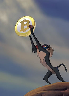 Bitcoin Monkey