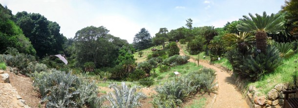 Botanical Gardens (Cape Town) Botanical Gardens (Cape Town)