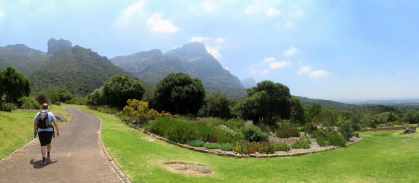 Botanical Gardens (Cape Town) Botanical Gardens (Cape Town)