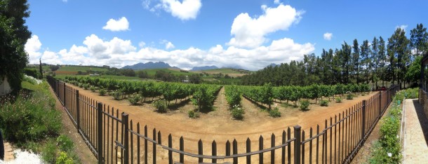 Franschhoek (Cape of Good Hope and Franschhoek) Franschhoek (Cape of Good Hope and Franschhoek)