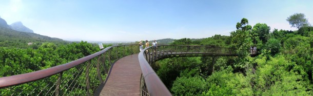 The Snake Canopy Walk (Cape Town)
