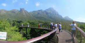 The Snake Canopy Walk (Cape Town) The Snake Canopy Walk (Cape Town)