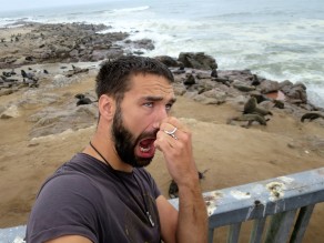 Smelly seals! (Skeleton Coast) Smelly seals! (Skeleton Coast)