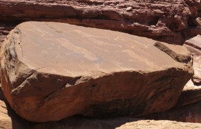 Twyfelfontein rock carvings. (Skeleton Coast)