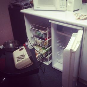 11241870_1598869620381269_143536842_n (Instagram Download)